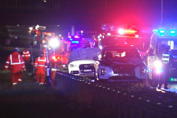 The women died after they were struck by a car while helping an injured kangaroo.
