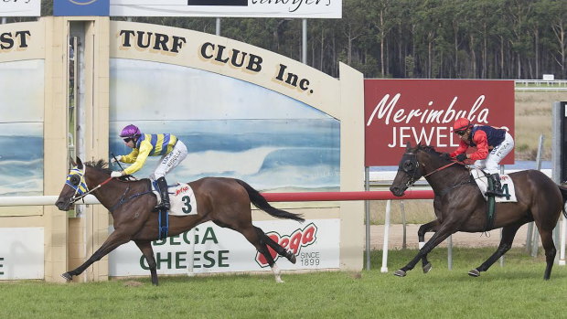 Sapphire Coast hosts an eight-race meeting on Sunday.