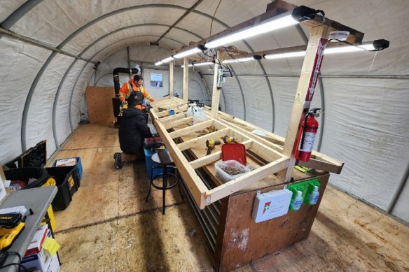 Inside one of the main core-logging tents at Infini Resources’ Falls Lake prospect, part of its Portland Creek project in Canada’s renowned Athabasca Basin, where diamond drilling is taking place.