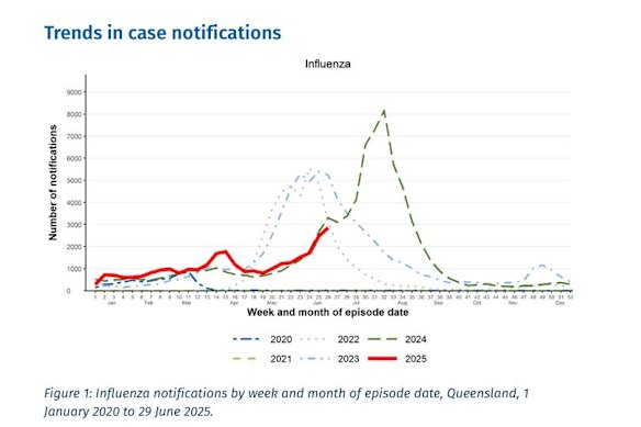 There were 24,708 lab-confirmed flu cases in Queensland from January 1 to June 29, 2024 and 29,514 cases in the same period in 2025.