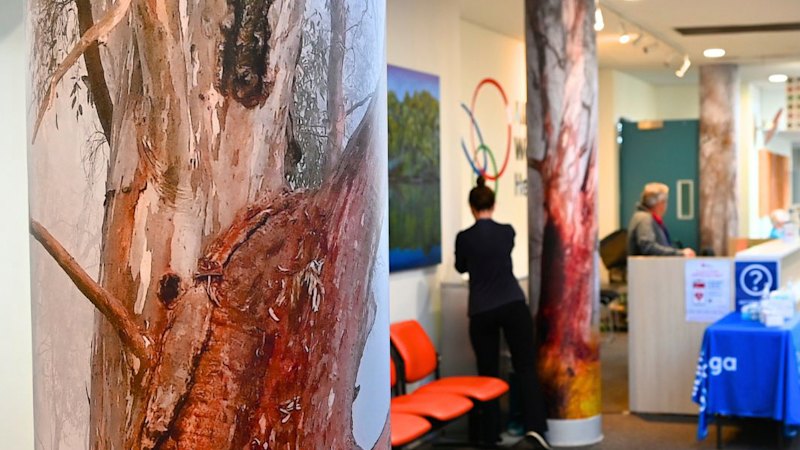 Hospital under fire for spending 0,000 of charity funds on art