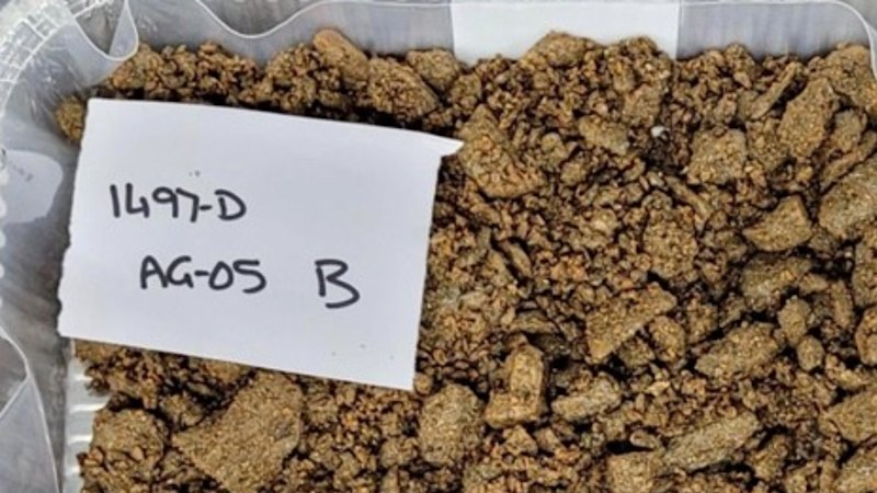 Red Metal steps up heap-leach tests for Qld rare earths