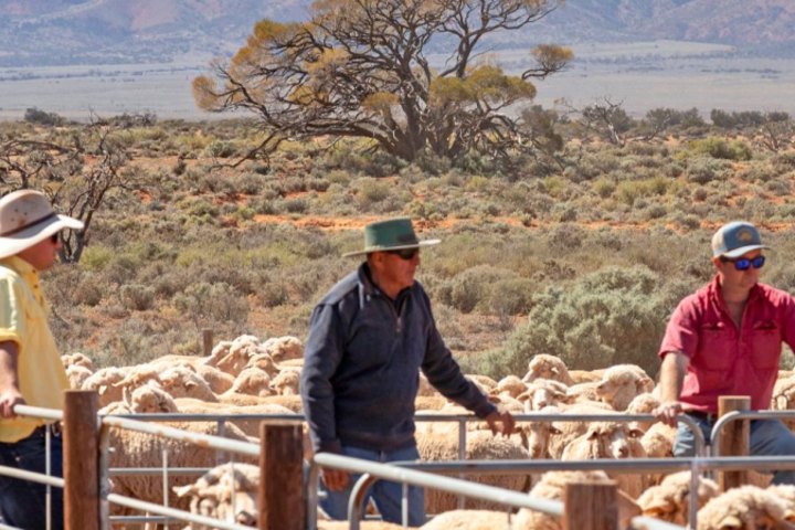 Wilkatana Station has been bought by renewable energy boss Andrew Doman and his family.