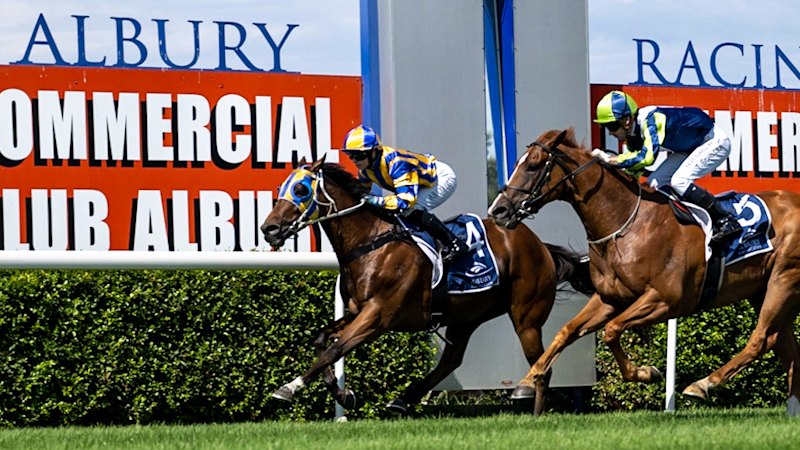 Tips and race-by-race guide for Albury on Tuesday