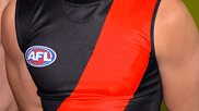 How Essendon will follow the Tiger template this year