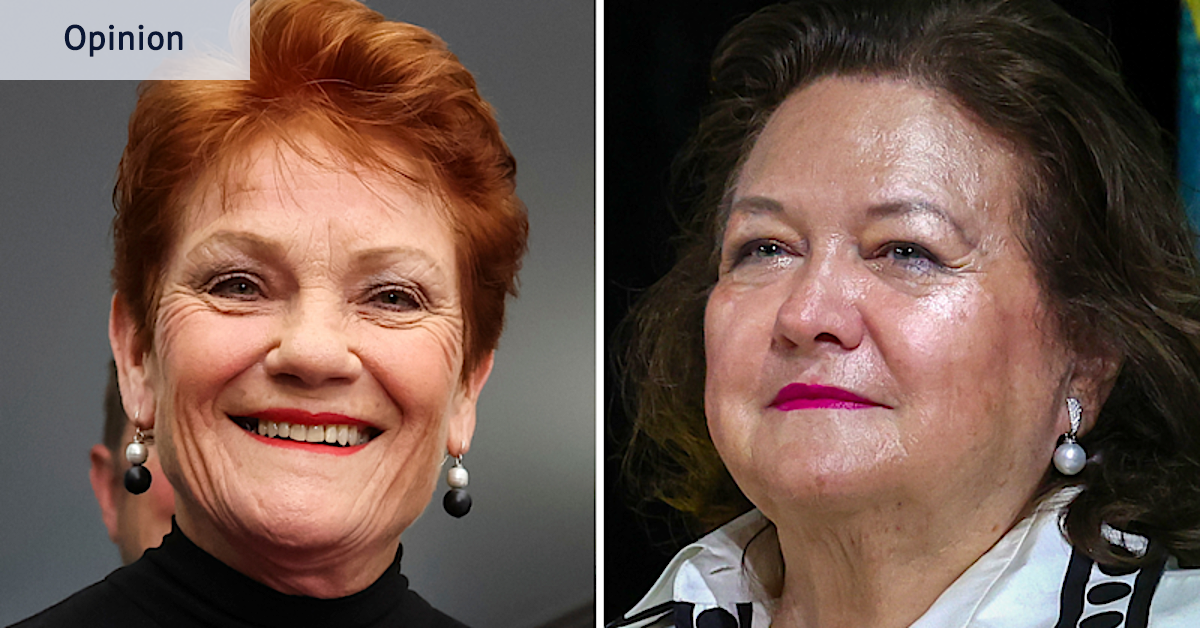 Pauline Hanson gushes over Gina Rinehart’s planes after free flights