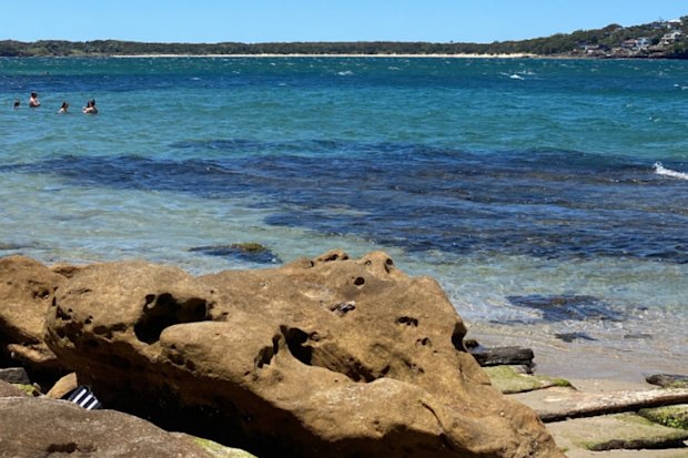  Salmon Haul Reserve in the Sutherland Shire.