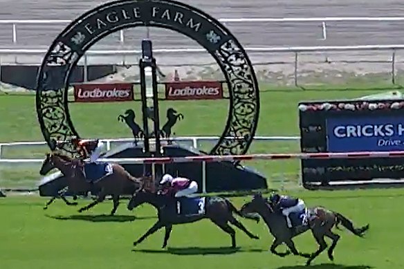 Racehorse Lady Of Five, left, was at the centre of a trainer Will Hulbert’s angry tweet after a freeway crash.