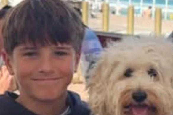 Nico Antic is not expected to survive after being attacked by a shark in Vaucluse on Sunday.