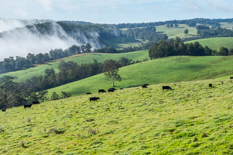The McPhee estate covers almost 8400 hectares in the New England region of NSW.