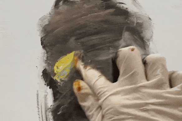 Loribelle Spirovski paints with her fingers.