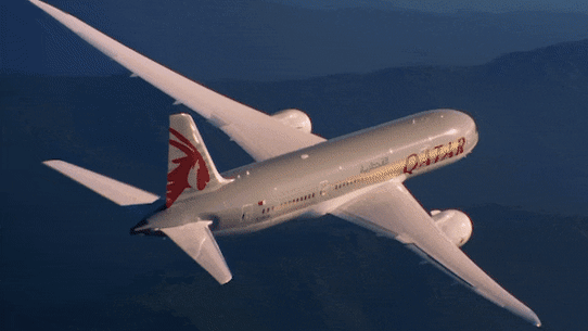 Qatar to fly to WSI.
