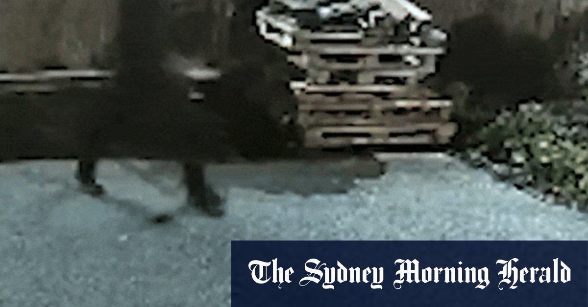 Train suspect accused of a string of earlier knife attacks