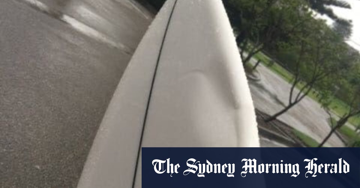 South Maroubra surfer ‘bumped’ by shark