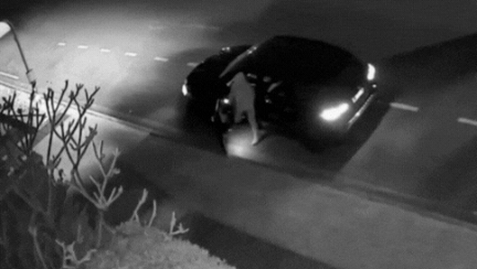 Security cameras captured the intruders outside the Ascot home.