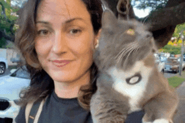Meet Socko the Brisbane city cat who is banned from riding the CityCat.