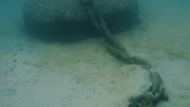 New environmentally friendly fixtures allow seagrass to thrive