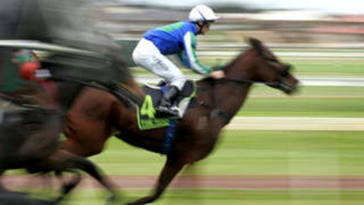 Racing returns to Scone on Tuesday.