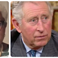 Former royal press secretary Colleen Harris reveals what really happened behind the palace walls as she helped push change with King Charles' support.