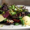 Grilled octopus, white anchovies, potato and green olive.