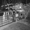 A house party in Queensland has spiralled out of control after gatecrashers flooded a birthday celebration.