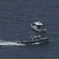 A swimmer in his 60s has died after a shark attacked him just 15 metres off Perth's Sorrento Beach.