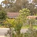 A one-year-old girl has died in hospital after being hit by a car in a rural driveway west of Ballarat.