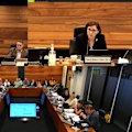 Council eventually voted that Adelia Berridge had a conflict of interest regarding the vote for a new development.