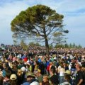 Lone Pine Gallipoli