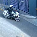 A group of teens have been arrested and accused of causing chaos and endangering life in Adelaide.