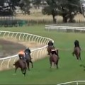 Ka Ying Rising is the horse carrying the jockey wearing black and an orange cap.