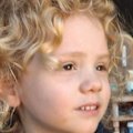 There has been a renewed search for evidence into the disappearance of Gus Lamont at the rural South Australian station from which he disappeared.