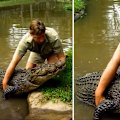 When Steve Irwin farewelled Mary, considered the “big beautiful matriarch” of Australia Zoo, he described it as 