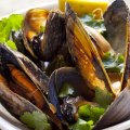 Red curry of mussels.