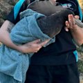 The number of birds killed by the H5N1 strain has climbed to four as the virus is confirmed to have crossed the border into South Australia.