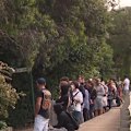 The Reserve Bank faces pressure to hold off on further interest rate rises after unemployment hit its highest level in almost five years.