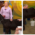 The Today show has gone full country, bringing a goat into the studio and attempting to milk it live on-air.
