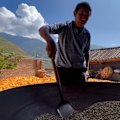 Once synonymous with tea, China's Yunnan now produces almost all of the nation's coffee beans, fuelled by a boom in cafe culture.