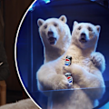 Kiwi Taika Waititi directed and starred in the Pepsi Super Bowl ad featuring a CGI Polar Bear, which has already gone viral for its brutal call out of competitor Coca-Cola.