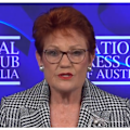 One Nation leader Pauline Hanson calls the Welcome to Country 
