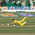 Marnus Labuschagne was starting to look dangerous when he was run out after a mix-up with Josh Inglis.