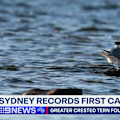 Bird flu has officially arrived in Sydney after the city recorded its first case of the H5N1 strain in a greater crested tern found on the Northern Beaches.