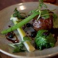 Venison, leek, blueberries and cocoa.