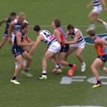 Geelong's Mark O'Connor bumps Willem Duursma and could face MRO sanction.