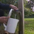 A social housing complex in Beaconsfield has suffered weeks of water problems, with residents claiming they are so desperate, some have resorted to drinking from bird baths.