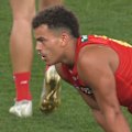Leo Lombard delivers choice words to Christian Petracca after a spray.