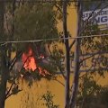 Hundreds of people are coming to terms with what they've lost in a ferocious fire.