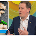 Dr Michael Bonning, AMA's Chair of Public Health, reveals some of the 'old wives tale' remedies that are proven to work.

