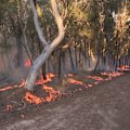 Sydney is in for a hot start to spring, with temperatures set to soar into the 30s as a total fire ban remains in place across Greater Sydney.