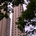 Fresh data has revealed more than 10,000 apartments across Brisbane and the Gold Coast have been delayed over labour shortages and rising supply costs.